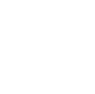 The IX Network